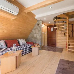 apartamenty-na-szczytach.zakopanehotels.org/